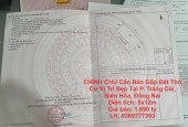 CHÍNH CHỦ Cần Bán Gấp Đất Thổ Cư Vị Trí Đẹp Tại P. Trảng Dài, Biên Hòa, Đồng Nai